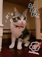 PetSoKoo Cute Bowtie Cat Collar - Image 5