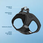 Best Pet Supplies - Image 3