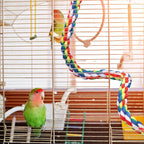 Bird Rope Perch 24 Inch, Colorful Cotton Parrot Bungee Swing, Bendable Cage - Image 7