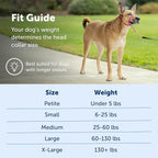 PetSafe Gentle Leader Headcollar No-Pull Dog Collar - Image 5