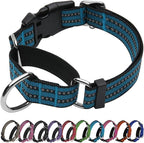 Martingale Dog Collar, Adjustable Nylon Reflective Collar by JOYEEIIOO