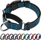 Martingale Dog Collar, Adjustable Nylon Reflective Collar by JOYEEIIOO
