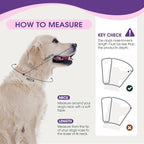 Dog Cone Collar After Surgery for Medium Dogs, Adjustable Soft Recovery Cone - Image 3