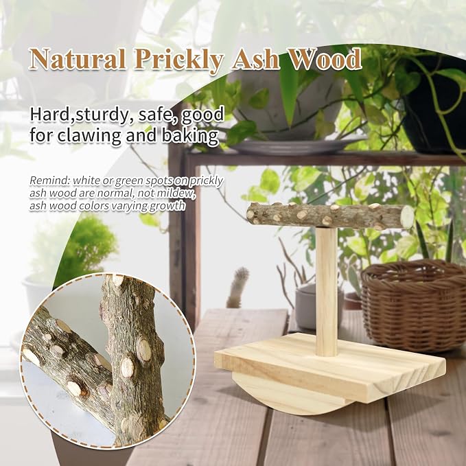 Natural Wood Bird Perch Stand, Rocking Perch - Image 3