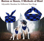 Birthday Plaid Dog Bandana - Image 2