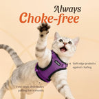 Dooradar Cat Harness and Leash Set, Escape Proof Safe Adjustable Kitten Vest - Image 2