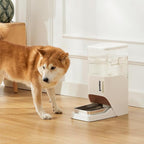 Automatic Dog Water Dispenser 11L - Image 7