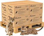 PetsWorld Universal Fit Multi-Cat Pad Refills by PETSWORLDsupplyforpets