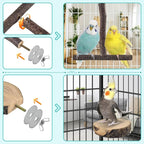 Bird Perches, Hanging Multi-Branch Parrot Perch Platform Swing Toy Cage - Image 2