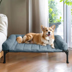 Veehoo Orthopedic Elevated Dog Bed by Veehoo