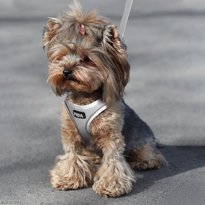 Fida Cat Harness and Leash Set for Walking Kitten and Puppy, Escape Proof - Image 6