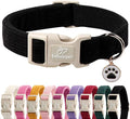 Cute Corduroy Dog Collar by Babolepet