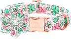 Lionheart glory St. Patrick's Day Dog Collar by LionheartGlory