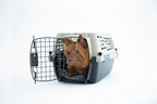 Petmate Vari Dog Kennel Portable Airline-Friendly Carriers & Crates - Image 8