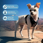 Voyager Step-in Pet Harness - Image 3