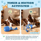 Interactive Dog Toys - Image 5