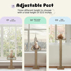 Cat Window Perch with Thick Sisal Scratching Post, Cat Hammock - Image 6
