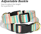 Reflective Dog Collar, Cute Dog Collar - Image 6