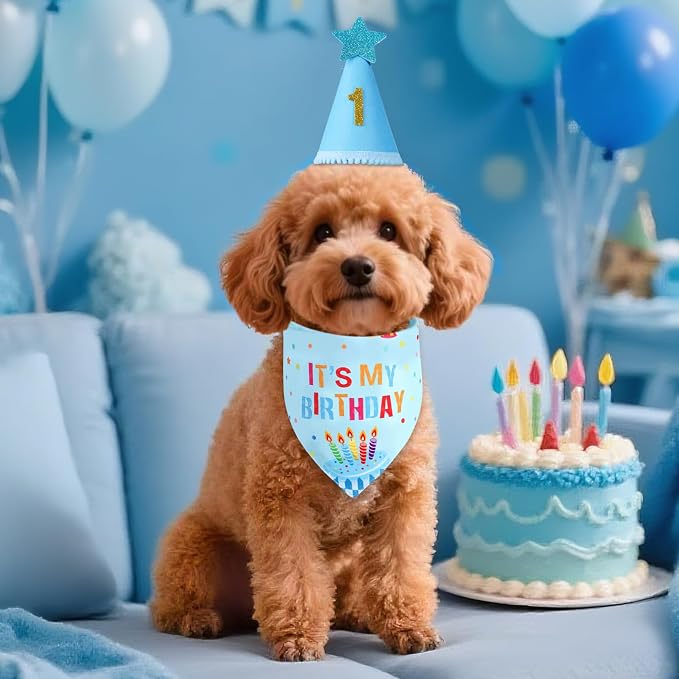 Dog Birthday Party Supplies - Image 6