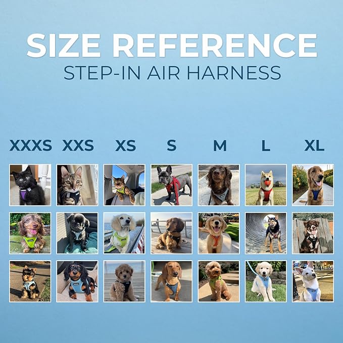 Best Pet Supplies - Image 6