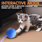 Rocfish Durable Interactive Cat Toys - Image 6