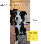 316 Surgical Grade Stainless Steel Personalized Dog & Cat ID Tags - Image 2