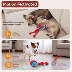 Dog Toys Interactive Dogs Ball - Image 4