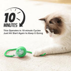 2025 New 1Pack Cat Ball Kitten Toys - Image 3