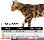 Cat Harness and Leash Set - Image 6