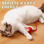Chewie Viral 360 Smart Automatic Rolling Pet Ball - Image 7