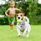 Promoted to Big Brother Pregnancy Announcement Dog Bandana Baby Announcement - Image 5