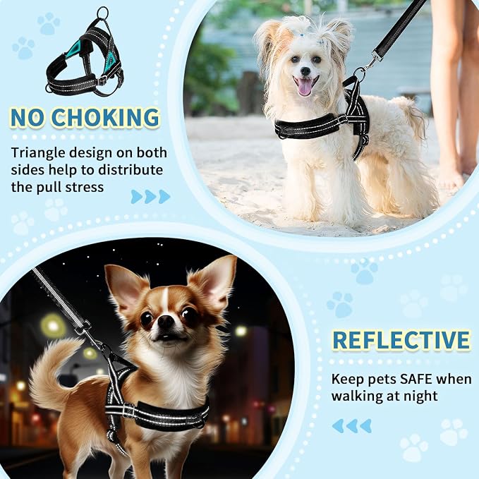 SlowTon No Pull Small Dog Harness and Leash Set, Puppy Soft Vest Harness Neck & - Image 3