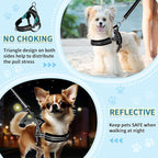 SlowTon No Pull Small Dog Harness and Leash Set, Puppy Soft Vest Harness Neck & - Image 3