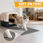 Pieviev 2 Packs Cat Litter Mat Double Layer Waterproof Urine Proof Trapping Mat - Image 5