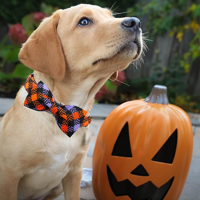 Halloween Dog Collar, Pet Collar Bow Plaid Collars Girl Boy Holiday Pet Collars - Image 3
