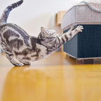 Cat Scratch Furniture Protector Couch Protector from cat Claws Self-Adhesive - Image 4