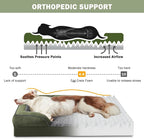 INVENHO Orthopedic Medium Dog Dogs, Egg-Crate Foam Dog Couch - Image 2