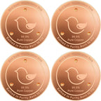 Bird Bath Copper Disk, 4.2" Large Surface Area, Covers 20% More Water Than by FASHTOUR