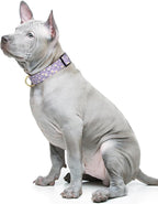 Reflective Dog Collar for Medium Dogs, Cute Flower Theme Adjustable Heavy-Duty - Image 2