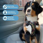Voyager Step-in Pet Harness - Image 3