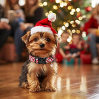Christmas Dog Collar - Image 7