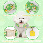 Easter Dog Collar for Medium Dogs, Easter & Spring Theme Mediuml Dog Collar - Image 4