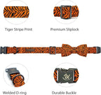 Elegant Little Tail Tiger Print Dog Collar, Unique Seasonal Design, Buckle - Image 2