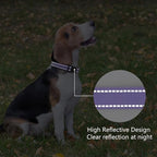 Reflective Dog Collar Padded - Image 5