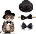 Christmas Pet Party Jazz Hat and Blingbling Bow Tie Breakaway Collar Set by Arogheiz
