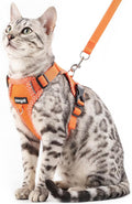 Cat Harness and Leash Escape Proof Small Kitten Harness Abyssinian Cat Vest by pangdi