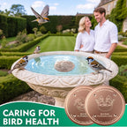 1 Pcs Copper Disc for Bird Bath | 99.99% Pure Copper Plate & Birdbath Disk | - Image 7