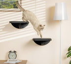 Cat Wall Shelves for Large Cats Set, Wall Mounted Climbing Shelves for Sleeping - Image 9