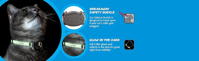 Rogz Glowcat Cat Collar with Safety Buckle Kitten/x-Small - Image 4