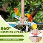 Bird Perch Toy, Parrot 360° Interactive Rotating Toy - Image 2